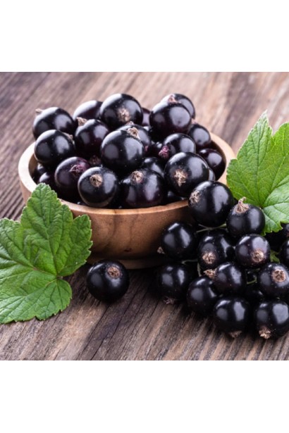 Смородина Фараон - великі чорні ягоди